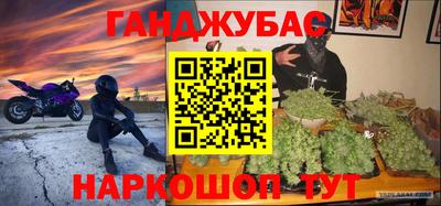 ешки Кингисепп