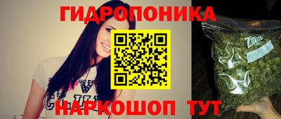 ешки Кингисепп